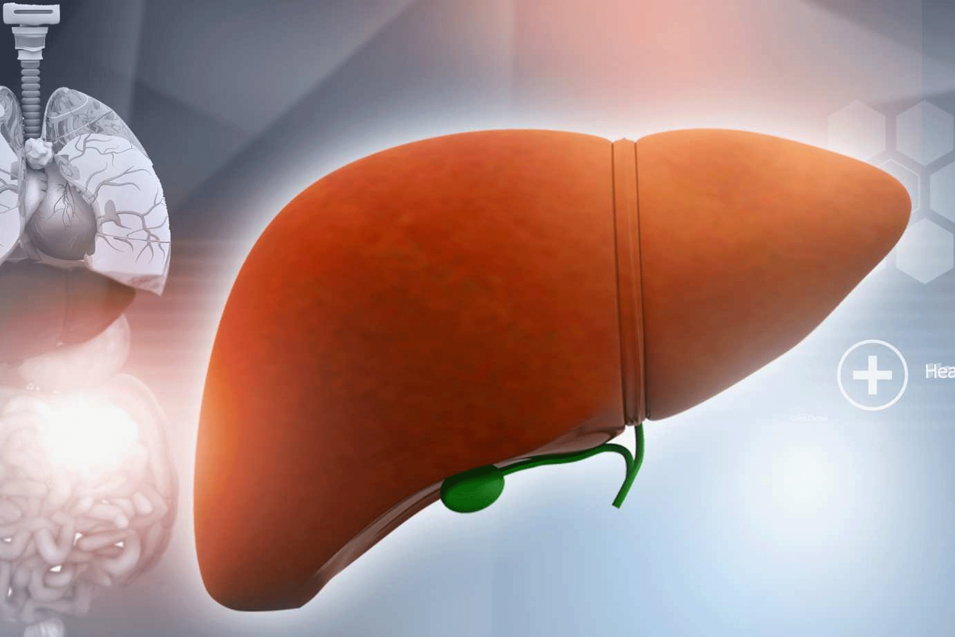 Fatty Liver: Modern Diagnosis and Treatment at One Health Primary Care