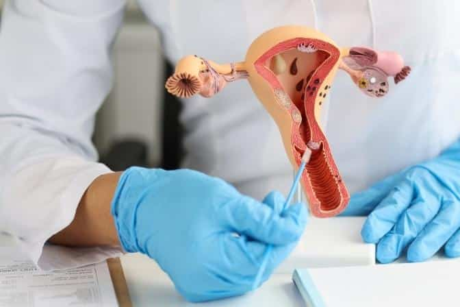 Reproductive Care San Jose: Personalized Wellness Through Specialized Healthcare Treatments San Jose